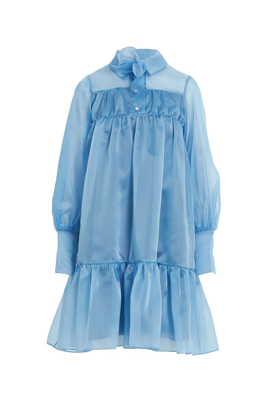 Çıkarılabilir Çiçek Detaylı, Etek Ucu Büzgülü Transparan Mavi Elbise